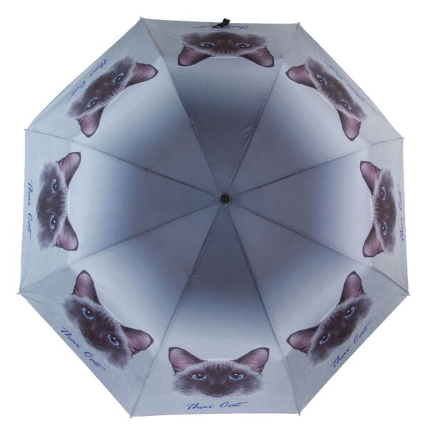 Женский зонт с принтом кошки полный автомат