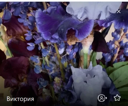 О нас 19 screenshot 40