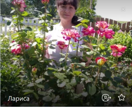 О нас 25 screenshot 7 2